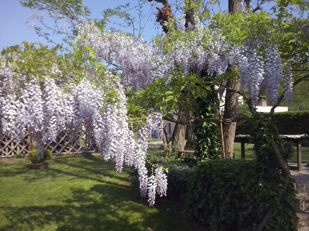 L'Ape In Corte Casa Di Campagna, Via Francigena Stanze E Colazione Guest House Vaccarizza Exterior photo